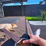 Walnut Exclusive Wood Grain