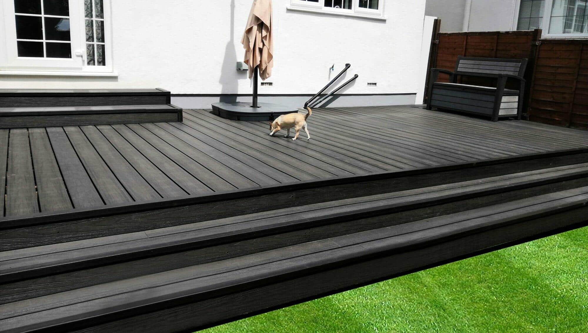 How To Protect My Deck From My Dog 