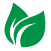 Eco Friendly