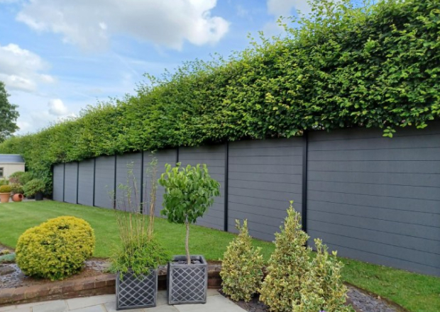 Composite Fence Panel With Hedge Above In Garden