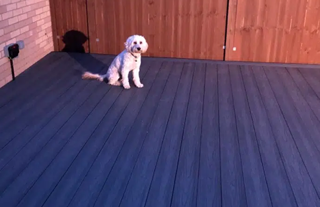 Graphite Grey Composite Decking With White Dog Sat On The Deck