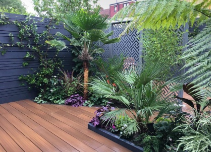 Mixed Teak Decking In Urban Garden With Tropical Plants